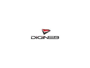 Digineb — Diskweb IT Solutions Client